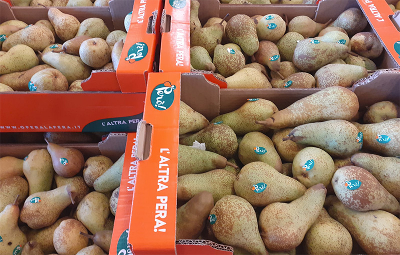 Pera Abate Fètel cal.65+ - Italia - 2,00/2,30 euro al chilogrammo